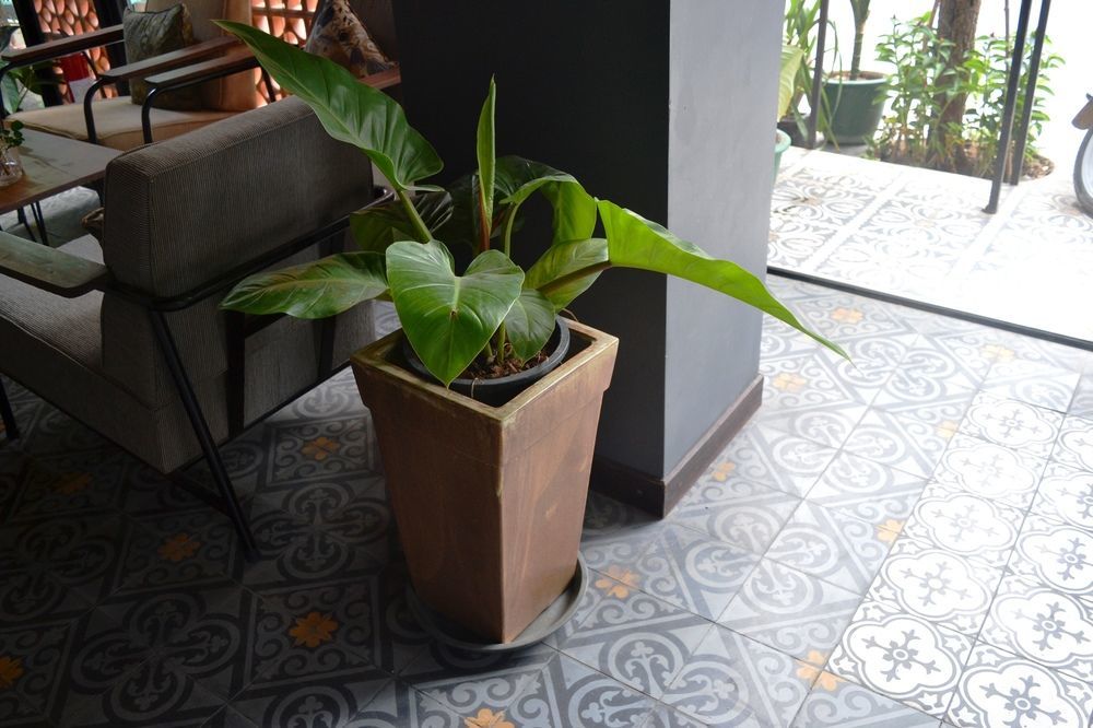 Monsoon Bassac Hotel Phnom Penh Luaran gambar